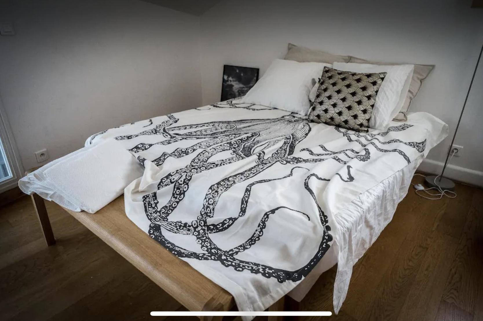 Apartment Beautiful Loft 130m2 Sun And Free Parking Ok 1m95 *